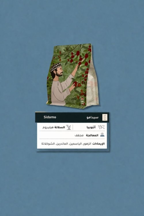 سقيا إثيوبيا سيدامو 250 جرام 